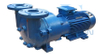 Water ring vacuum pump